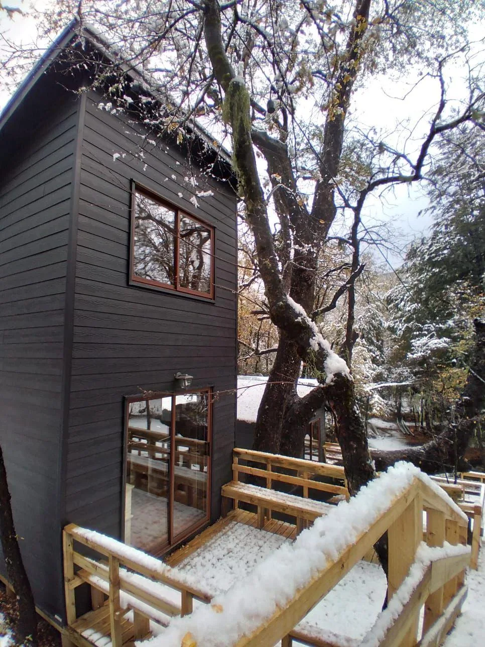 Kalinaw Cabin for 4 Guests — photo 5